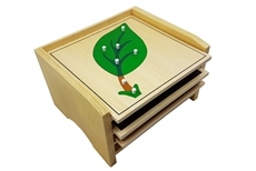 IFIT Montessori: 3 Botany Puzzles with Cabinet
