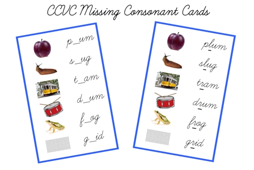 Blue Language Series L - CCVC Missing Consonant Ca