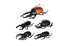 IFIT Montessori: Beetle