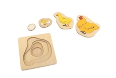 Chicken Life Cycle Puzzle