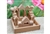 32 pcs Wood Building Blocks with Tray