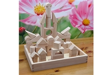 52 pcs Wood Building Blocks with Tray